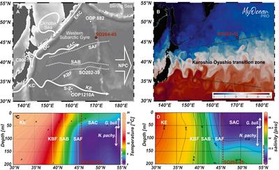 ENSO vs glacial-interglacial-induced changes in the Kuroshio-Oyashio transition zone during the Pleistocene